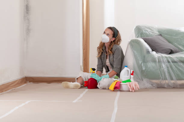 Reliable Mold Inspection And Testing contractor in Wendell, NC by Mold Remediation HQ
